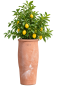 Preview: Vaso Primitivo Alto – Grand pot en terre cuite d’Impruneta